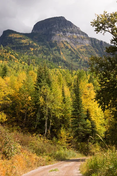 Sonbahar renk çok buzul Ulusal Parkı Montana deneme orman yolu — Stok fotoğraf