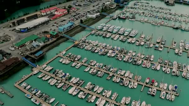 Aqua Eau Teintée Dans Marina Face Promenade Seward Alaska — Video