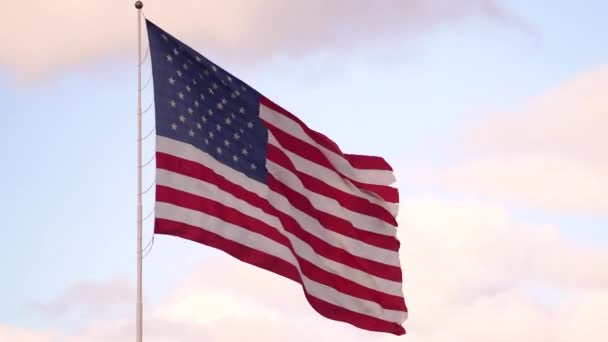 挥舞着明亮的爱国美国国旗星条旗的风 — 图库视频影像