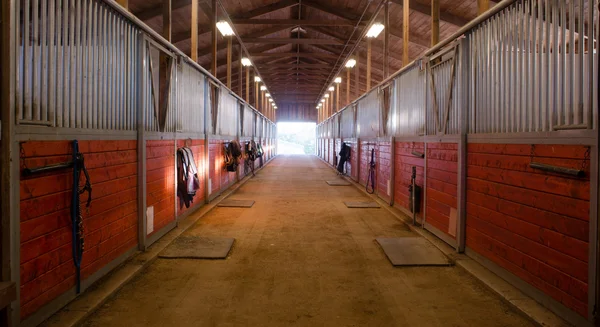 Caminho do centro através do estábulo do rancho equestre de Paddock do cavalo — Fotografia de Stock