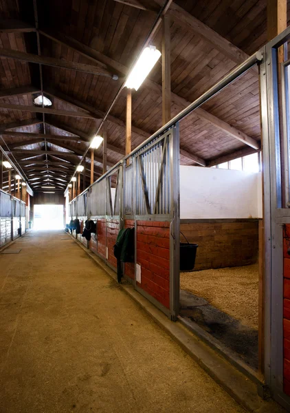 Stall Centro Caminho Cavalo Paddock Estável Equestre — Fotografia de Stock