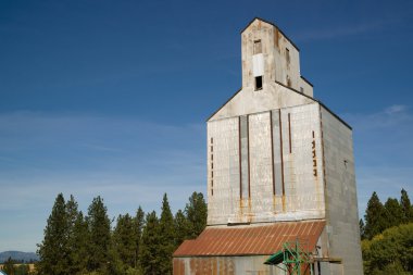 Silo tahıl Asansör depolama binası tarımsal toplumun tarım