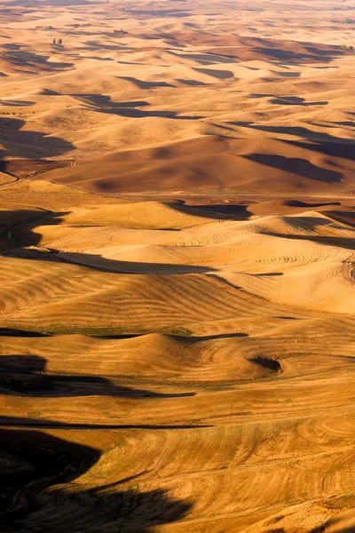 Rolling Hills Palouse regionu východní Washington státní zemědělské půdy — Stock fotografie