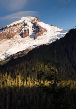 North Cascades Mt. Baker Heliotrope Ridge buzul zirveleri