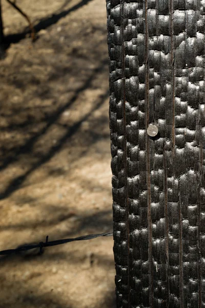 Spálené dřevo ostnatým drátem navlečeným Rusty Nail ohořelé dřevo — Stock fotografie