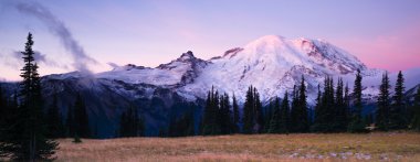 Sunrise Mt Rainier Milli Parkı Cascade volkanik yay