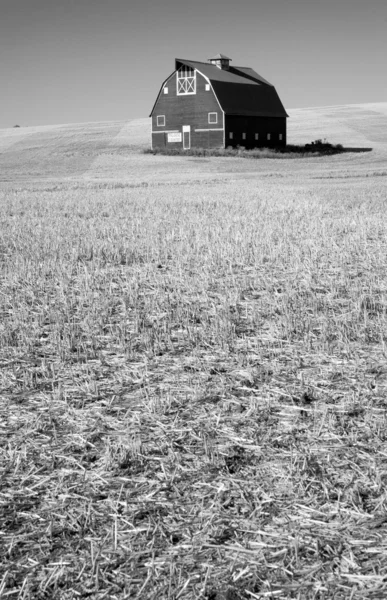 Classic Black & White Farm Paille coupée dans la grange — Photo