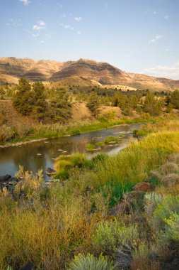 Squaw Creek Butler Havzası John gün fosil yataklar Oregon