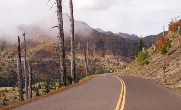 Still Damaged Landscape Blast Zone Mt St Helens Volcano — Stock Image Still Damaged Landscape Blast Zone Mt St Helens Volcano Stock Photo