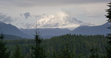 Puslu atmosferik koşullar Ulusal Ormanı Mt Rainier
