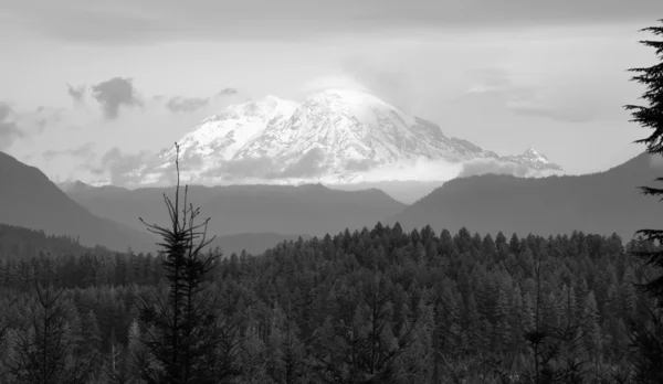 Hazy Atmospheric Conditions National Forest Mt Rainier — Stock Photo, Image