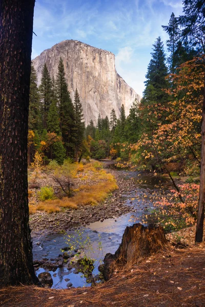 El Capitan gránit szikla arc Merced folyó Yosemite Nemzeti Park — Stock Fotó