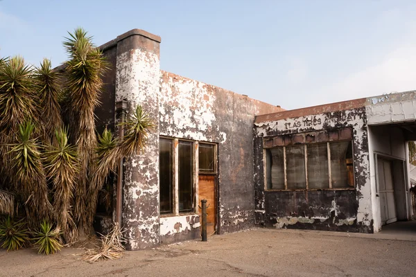 Palmiye ağaçlarının yanında terk edilmiş gaz servis istasyonu hayalet kasaba — Stok fotoğraf