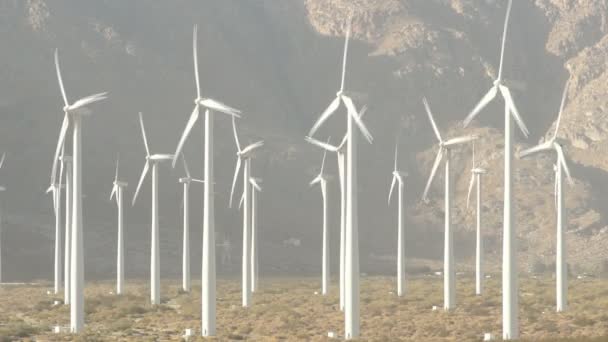 Energia verde limpa turbinas eólicas Alternativa Desert Power — Vídeo de Stock