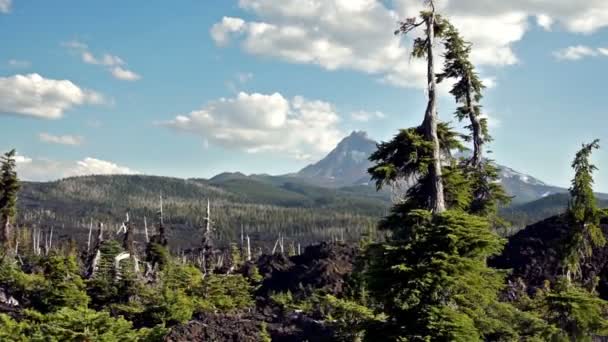 Meghajtó végig Mckenzie Pass három nővér Cascade számos ősi láva mező — Stock videók