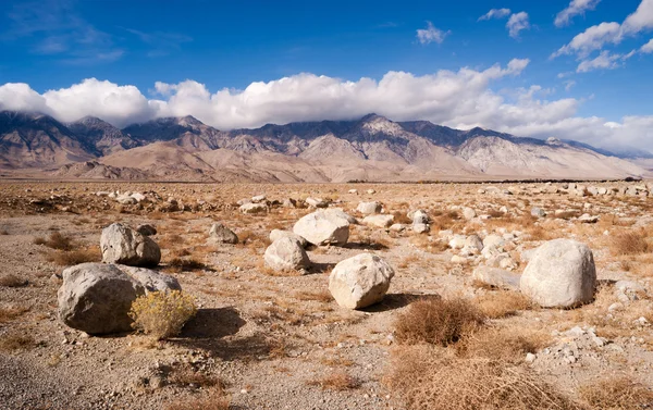 Alsem keien Owens Valley Sierra Nevada bereik Californië — Stockfoto
