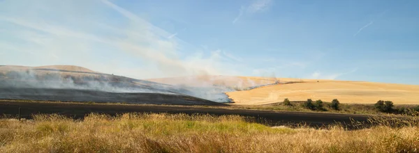 Agriculture Farming Burns Plant Stalks Harvest Fire Tractor — Stock Photo, Image