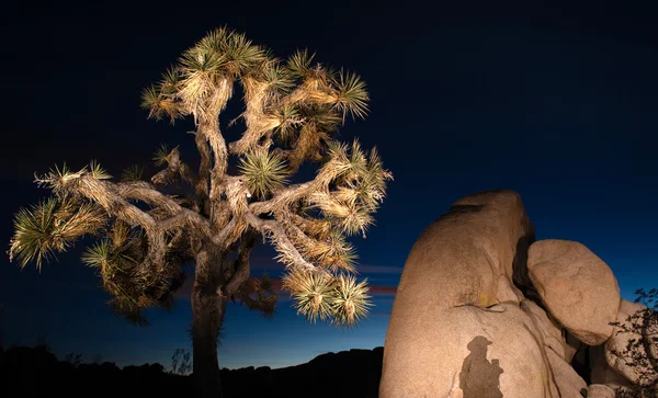 Zachód słońca Cień Rock formacji Joshua Tree National Park — Zdjęcie stockowe