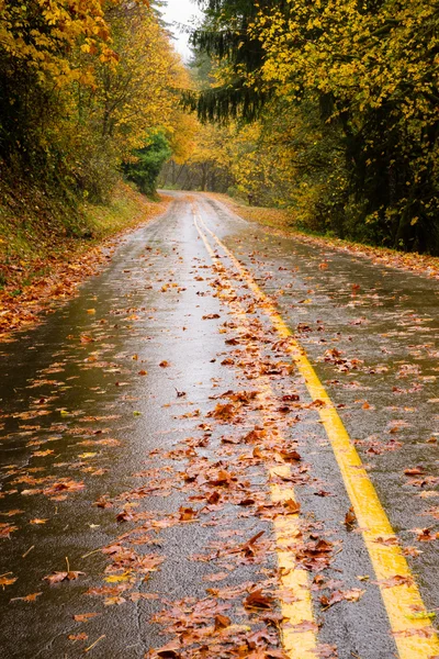 Camino húmedo cubierto de hojas de otoño Autopista de otoño —  Fotos de Stock