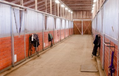 At ahır hayvan spor Paddock binicilik çiftliği istikrarlı yarış