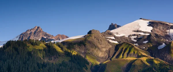 Cascade Range Pacific Crest Trail Heliotrope Ridge Mt. Baker — Stock Photo, Image