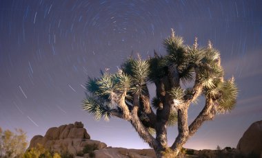 North Star yollar uzun pozlama astronomi Maltepe gece gökyüzü