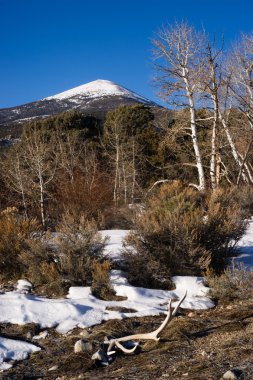 Kel dağ büyük havzası Milli Park Nevada Amerika Birleşik Devletleri