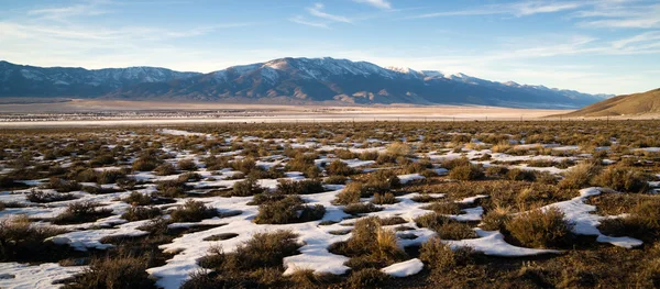 Snow Covered Sage Brush Mountain Landscape Surrounding Great Basin — Stock Photo, Image