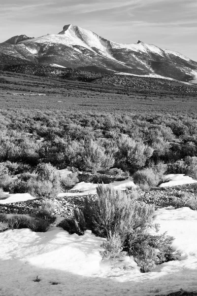 Mountain Range Surrounds Great Basin National Park Nevada — Stock Photo, Image