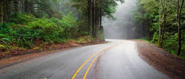 Bosque brumoso dos carriles carretera carretera costera de país Rural — Foto de Stock