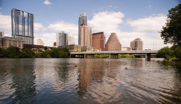 狗游泳玩科罗拉多河市中心 Austin 德州 — 图库照片