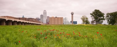 Dallas Texas City Skyline Metro Downtown Trinity River Wildflowers clipart