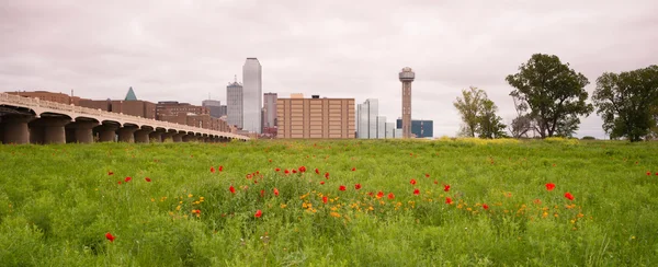 Dallas Texas City Skyline Metro Downtown Trinity River Flores silvestres — Fotografia de Stock