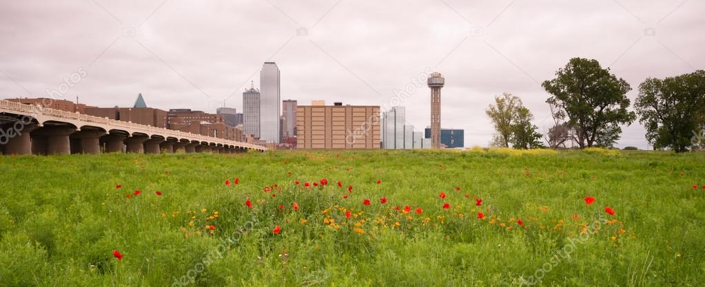 Dallas Texas City Skyline Metro Downtown Trinity River Wildflowers
