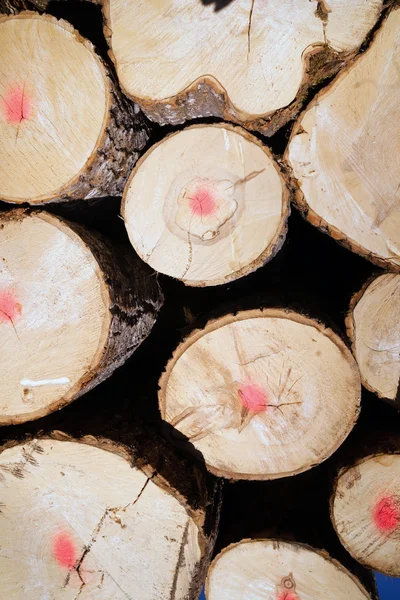 Træer Logs Sit stablet nordlige Minnesota Logging Operation - Stock-foto