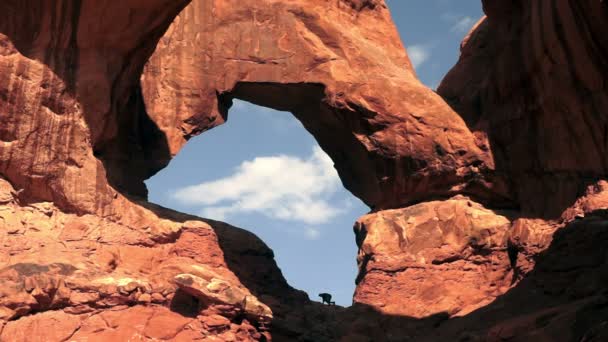 Man Climbs Rock Formations Double Window Arch — Stock Video