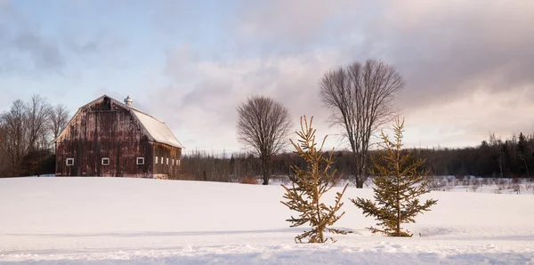 Zimowym Farm pole stodole rolnych struktury Ranch budynku — Zdjęcie stockowe