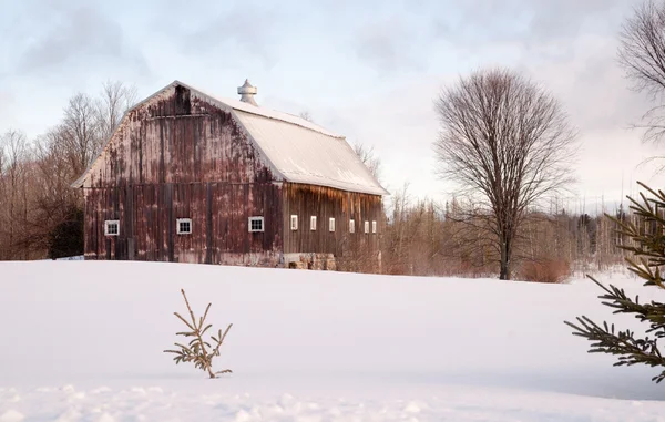 Zimowym Farm pole stodole rolnych struktury Ranch budynku — Zdjęcie stockowe