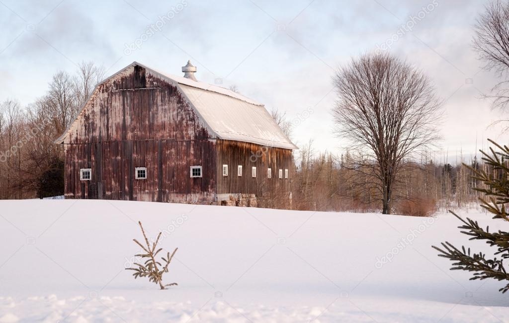 Wintertime Farm Field Barn Agricultural Structure Ranch Building