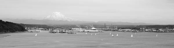 Sailboat Regatta Commencement Bay Puget Sound Port Tacoma Mt. Ra — Stock Photo, Image