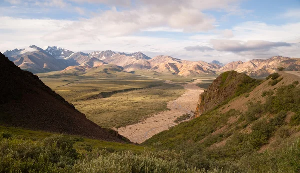 Lembah dan Pegunungan dari Pegunungan Denali Alaska — Stok Foto