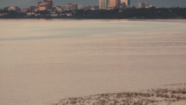 The Lake Shore en el glaciar Mendenhall Alaska Estados Unidos — Vídeo de stock