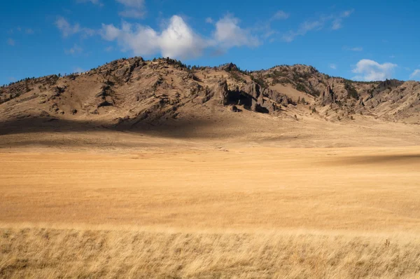 Cliffs Bluffs Valley Farmland Pacific Northwest Territory — Stock Photo, Image