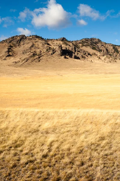 Klify urwisk Dolina Farmland Pacific Northwest terytorium — Zdjęcie stockowe