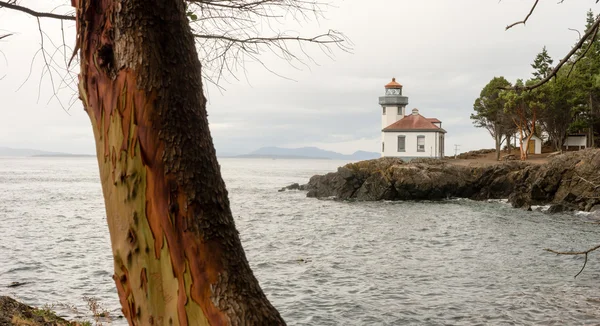 Faro del horno de cal del árbol de Madrona Isla de San Juan Estrecho de Haro —  Fotos de Stock