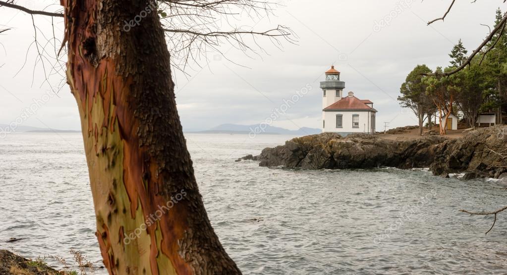 Madrona Tree Lime Kiln Lighthouse San Juan Island Haro Strait