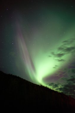 Hillside Trees Northern Lights Aurora Borealis Alaska Night Sky clipart