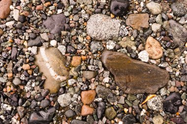 Common Rocks Rivers Edge Alaska Fossils Minerals Solid Rock clipart