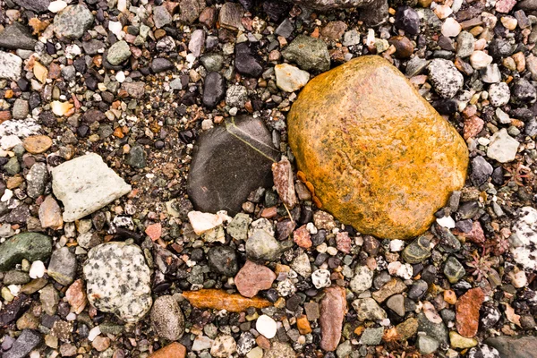 Common Rocks Rivers Edge Alaska Fossils Minerals Solid Rock — Stock Photo, Image