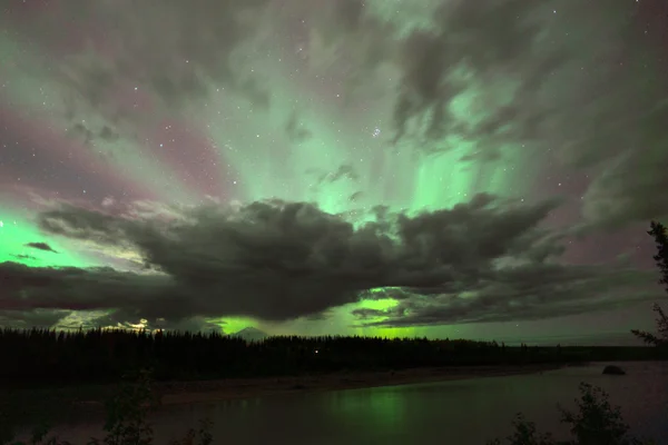 Willow tó északi fények Aurora Borealis Alaszka éjszakai égbolt — Stock Fotó